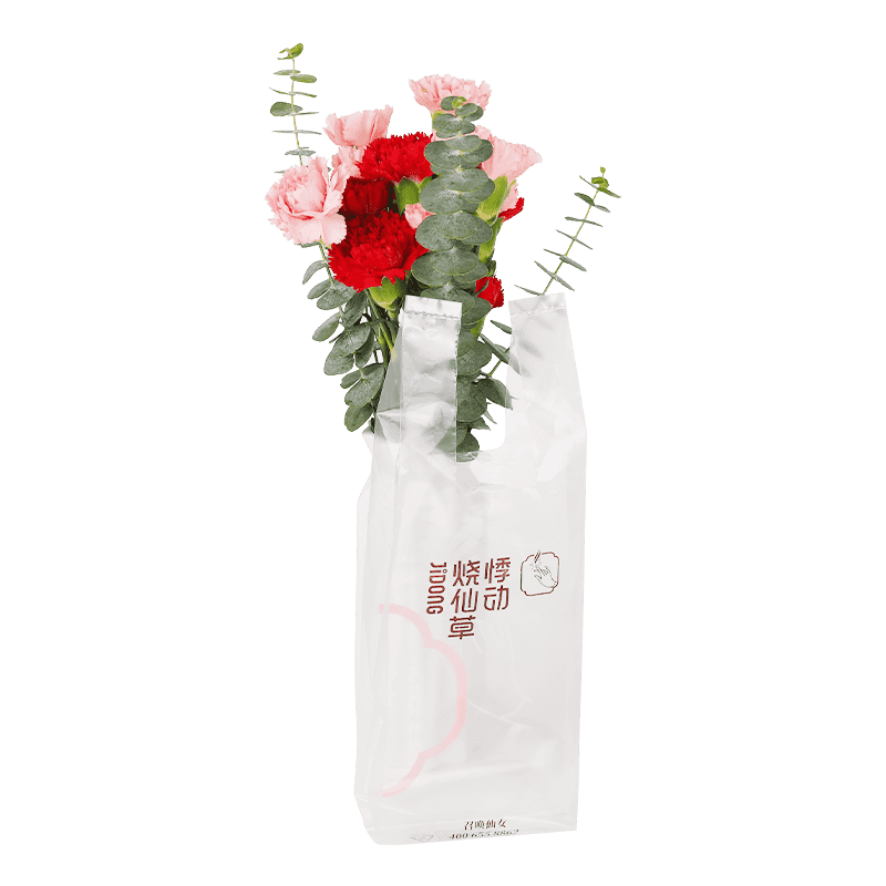 Disposable Single Cup Drink Carrier Bag