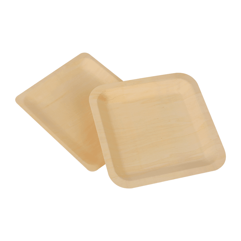 Biodegradable Disposable Lunch Box