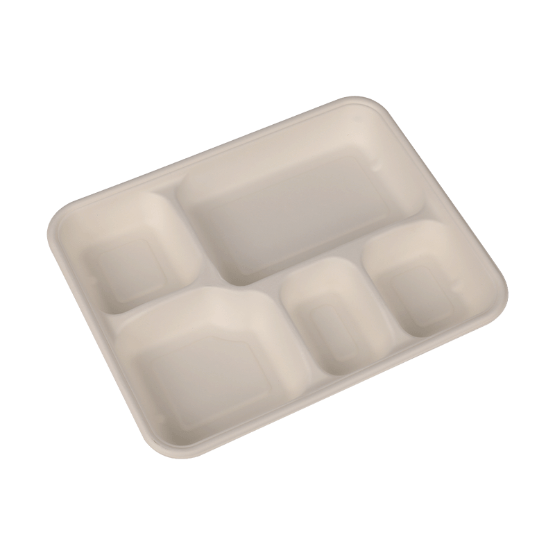 Biodegradable Disposable Lunch Box