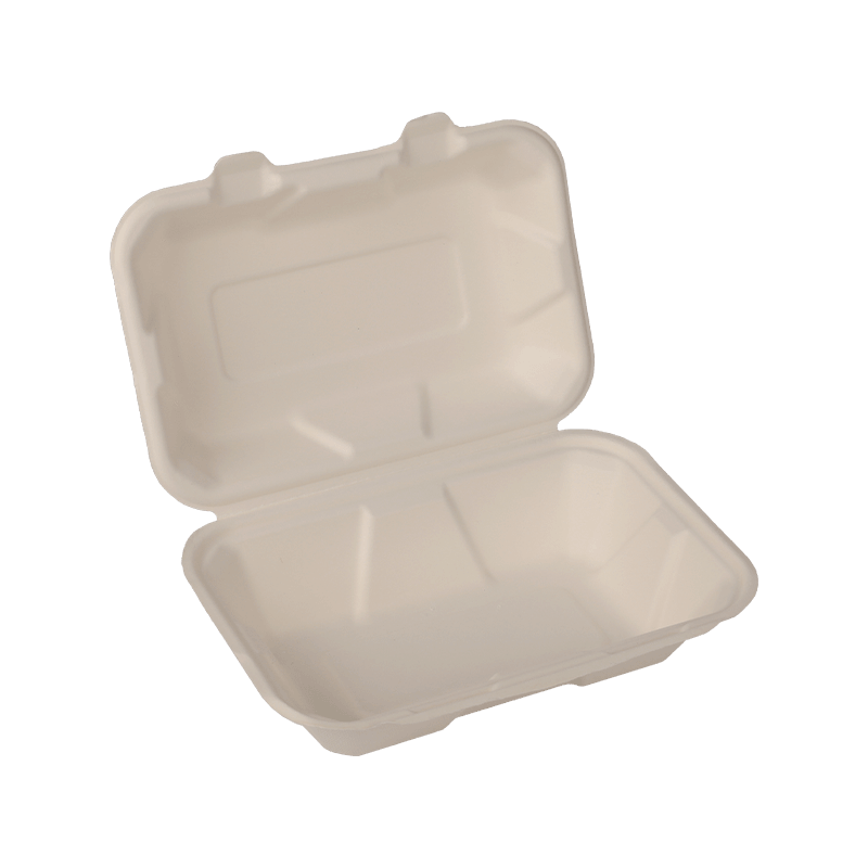 Biodegradable Disposable Lunch Box