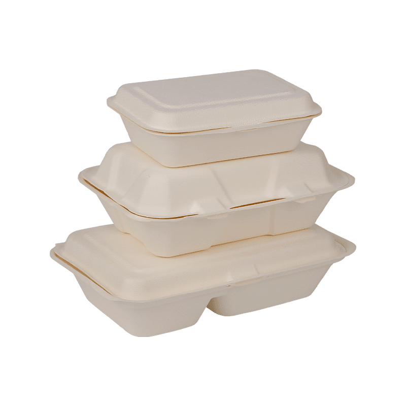 Biodegradable Disposable Lunch Box