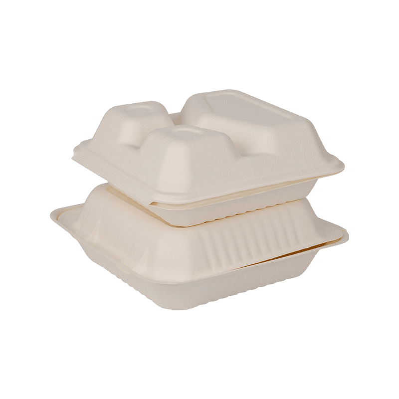 Biodegradable Disposable Lunch Box