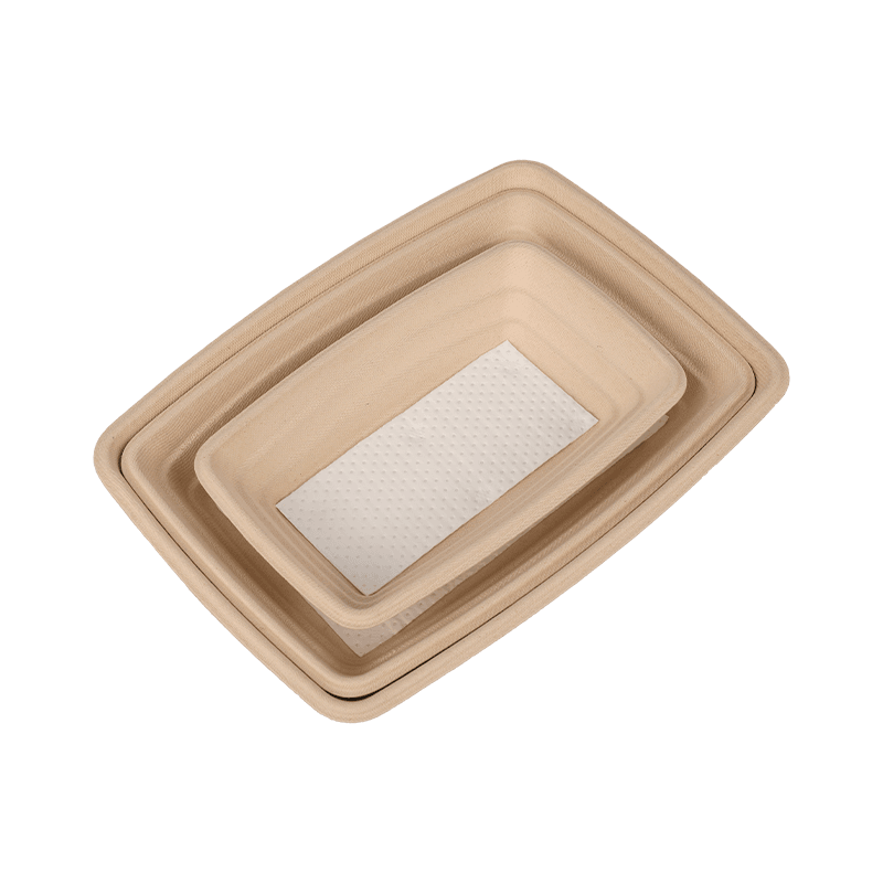 Biodegradable Disposable Lunch Box