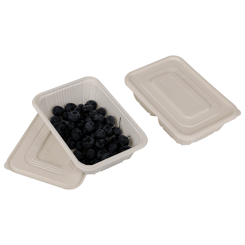 Biodegradable Disposable Lunch Box