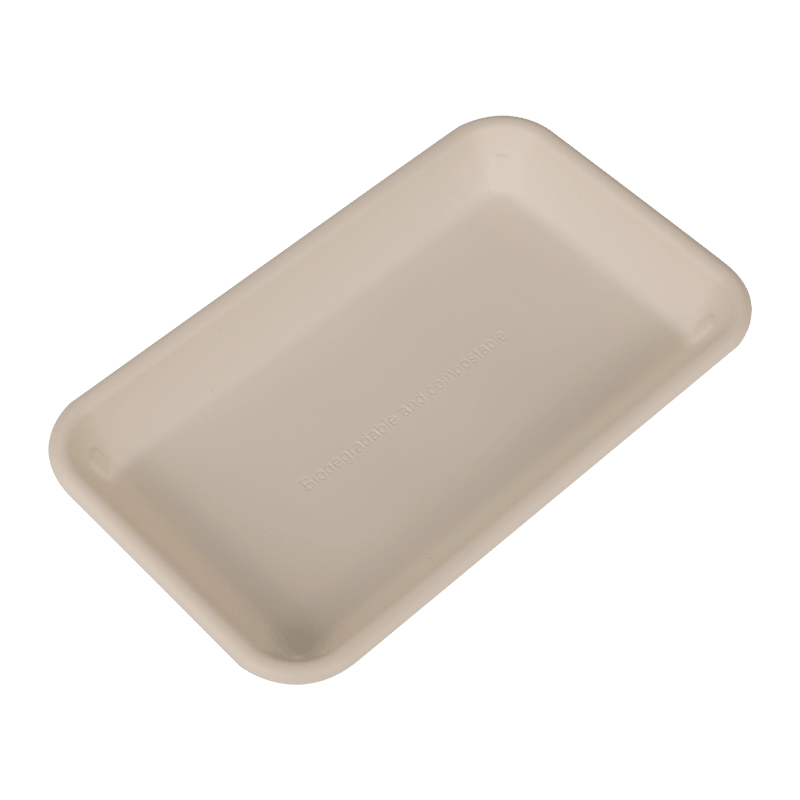 Biodegradable Disposable Lunch Box