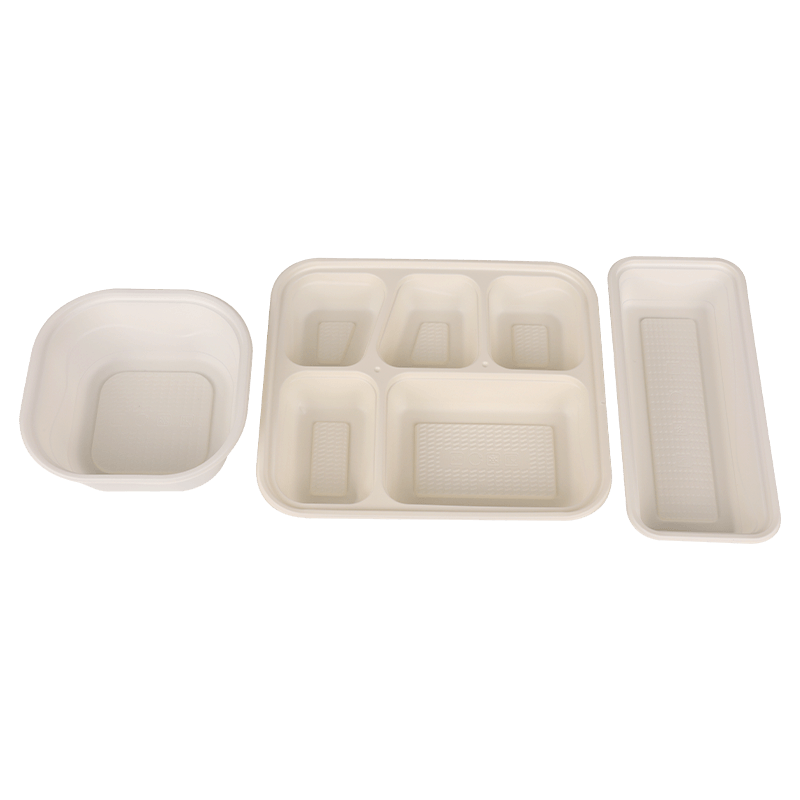 Biodegradable Disposable Lunch Box